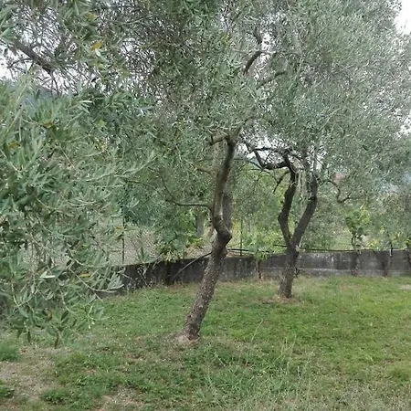 Casa Rene'